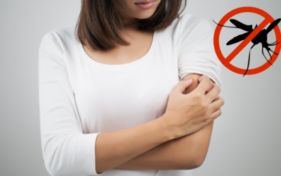Your Immune System vs. One Extremely Confident Mosquito